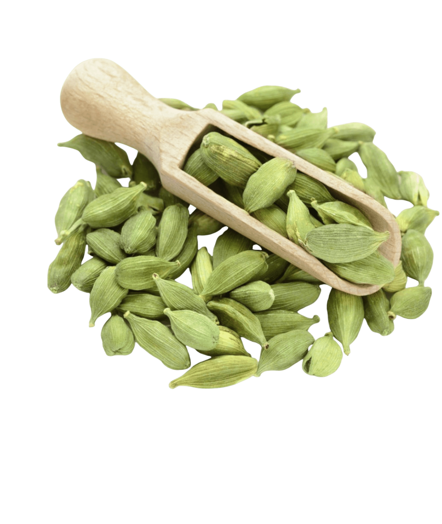 2-cardamom-2-1174450812_81a63b91-e4d1-4243-90b5-877be465b345 هيل أمريكي أخضر رقم 2 Cardamom | هيل هيل أمريكي أخضر رقم 2
