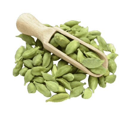 هيل أمريكي أخضر رقم 3 Cardamom | هيل هيل أمريكي أخضر رقم 3