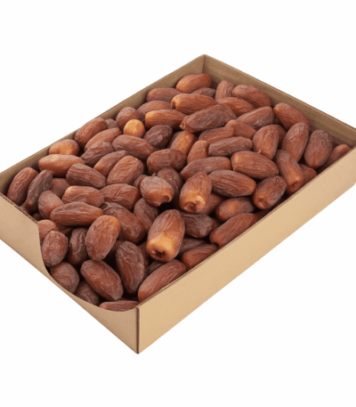 تمر مجدول سعودي تمر مجدول سعودي تمر مجدول سعودي