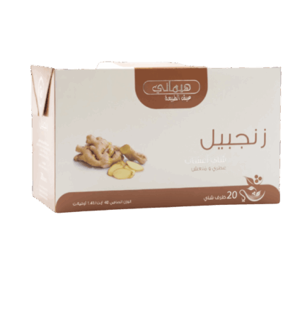 Ginger tea sachets - a sachet of natural herbs