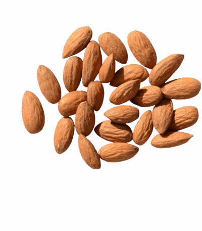 لوز لوز لوز