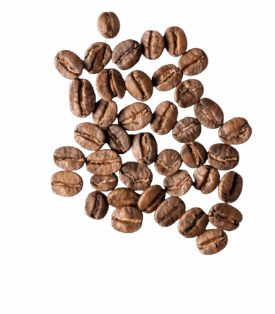 قهوة تنزانيا عربية قهوة عربية قهوة تنزانيا عربية - نكهة عربية أصيلة وغنية