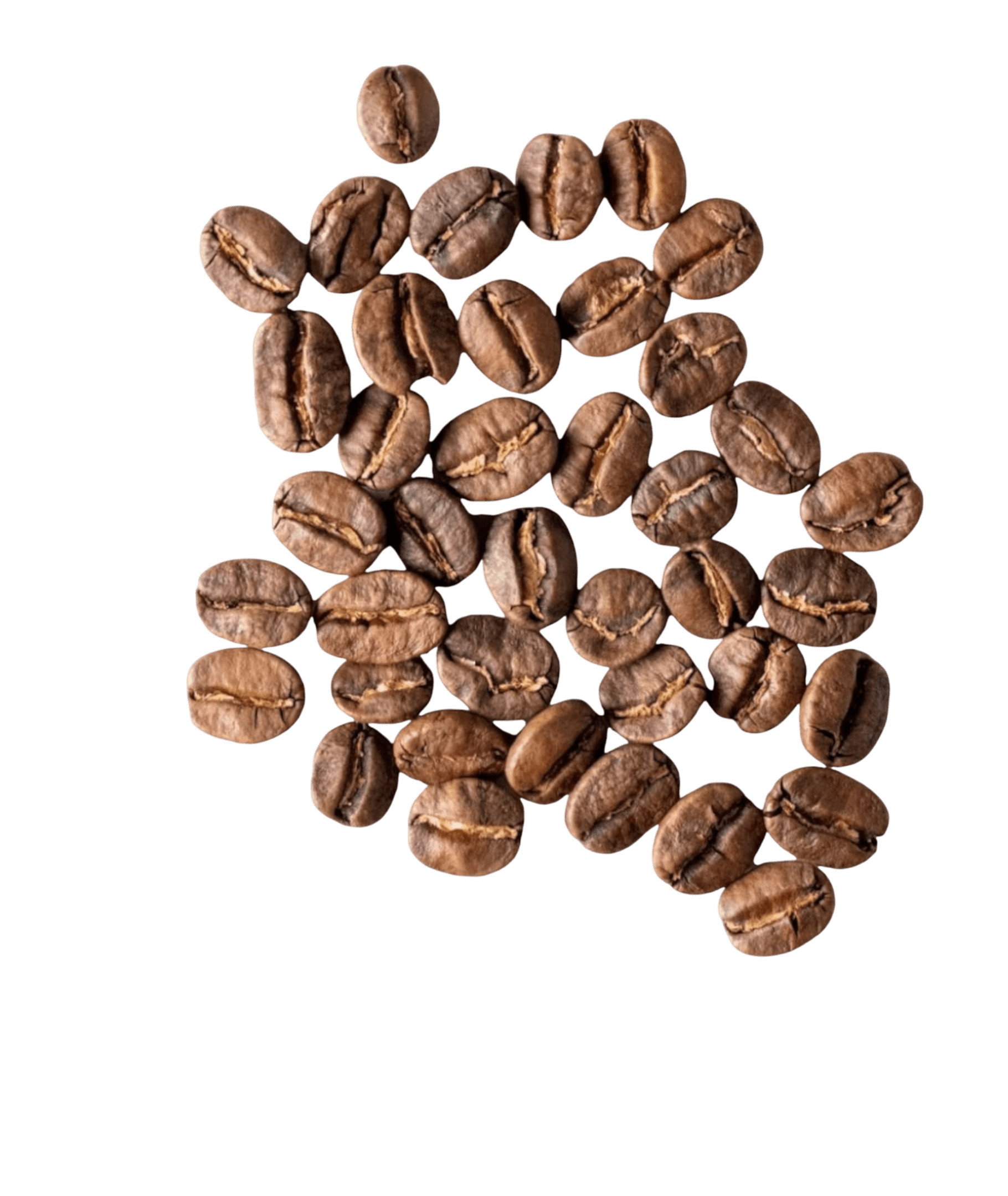 Photoroom-____206_563170c4-e8ae-480e-a104-8bd1461cef6a قهوة تنزانيا عربية قهوة عربية قهوة تنزانيا عربية - نكهة عربية أصيلة وغنية