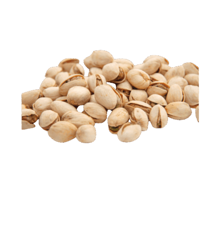 فستق باليمون فستق باليمون فستق باليمون