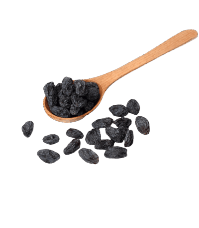 زبيب أسود زبيب أسود زبيب أسود