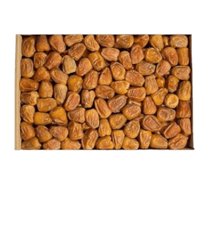 سكري مفتل التمر تمر سكري مفتل