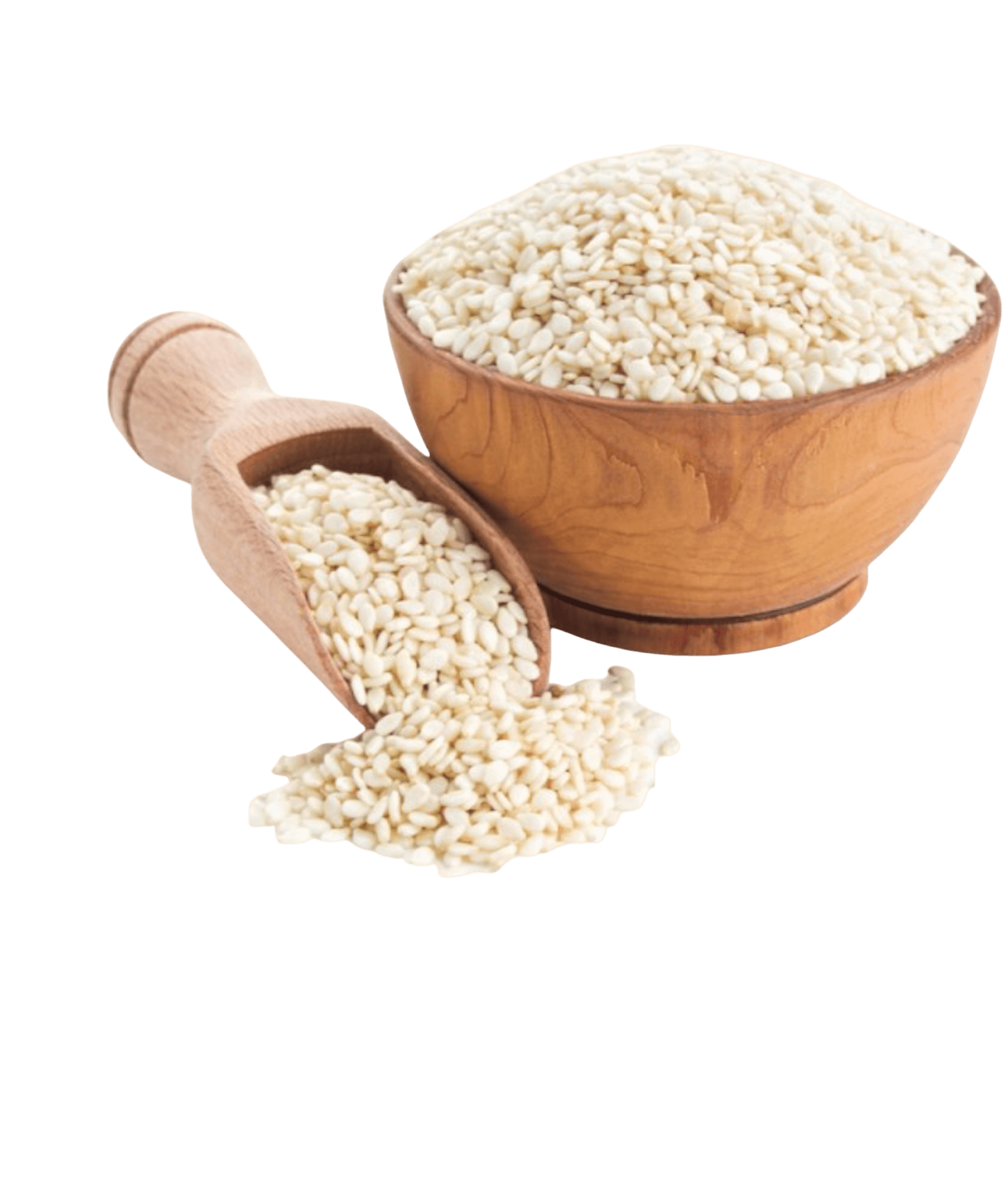 seasoning-1174450772_425743fc-20cf-456b-9ec7-ac3ecd40130d سمسم حب seasoning-بهارات سمسم حب