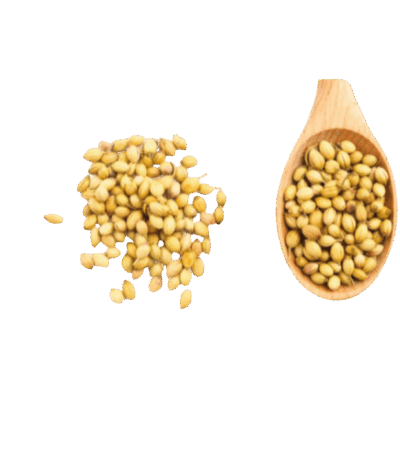 ⁨كزبرة حب⁩⁩ ⁩ seasoning-بهارات ⁨كزبرة حب⁩⁩