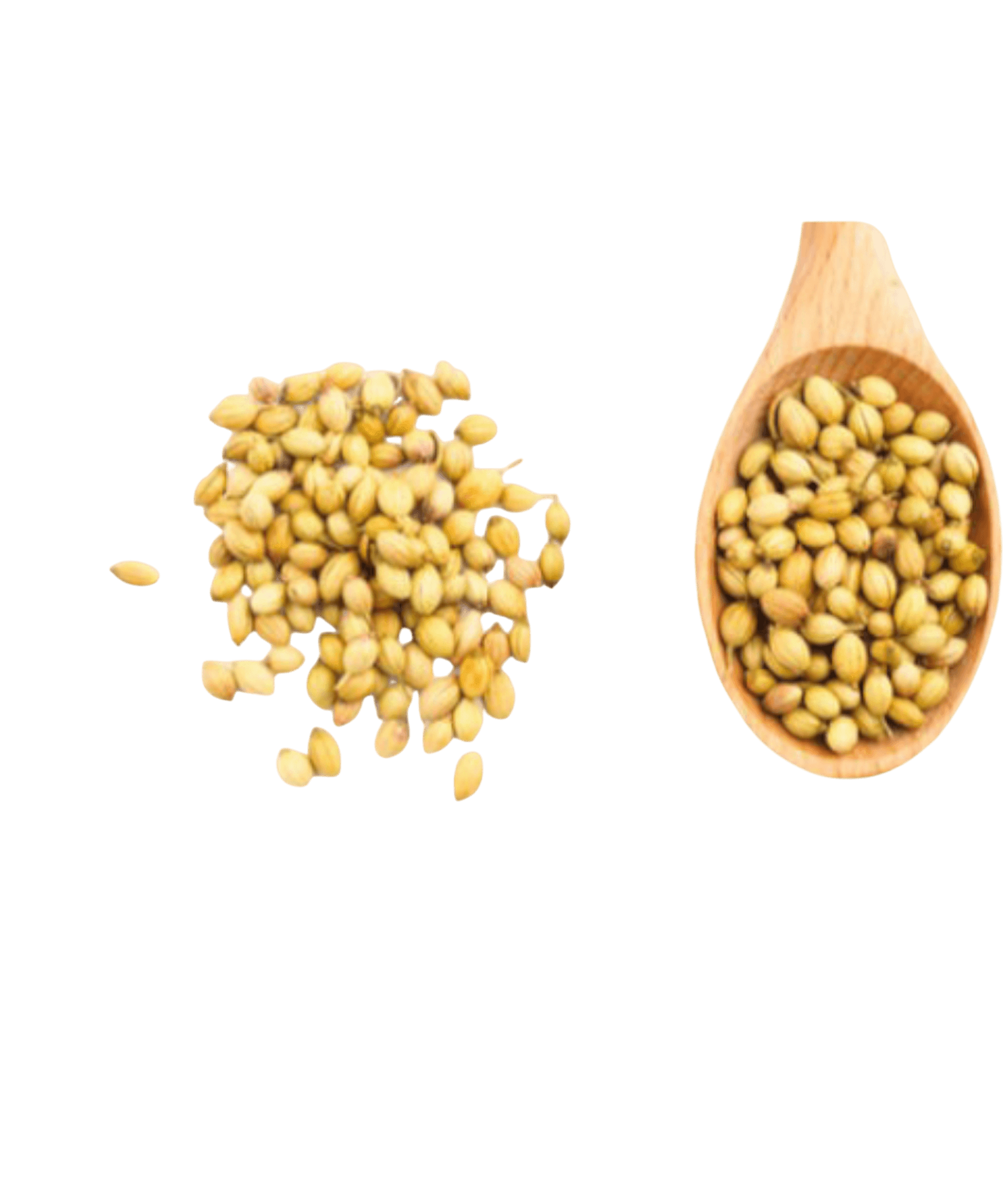 seasoning-1174451260_68d34f74-b38c-4573-acb1-403c829f555f كزبرة حب seasoning-بهارات كزبرة حب