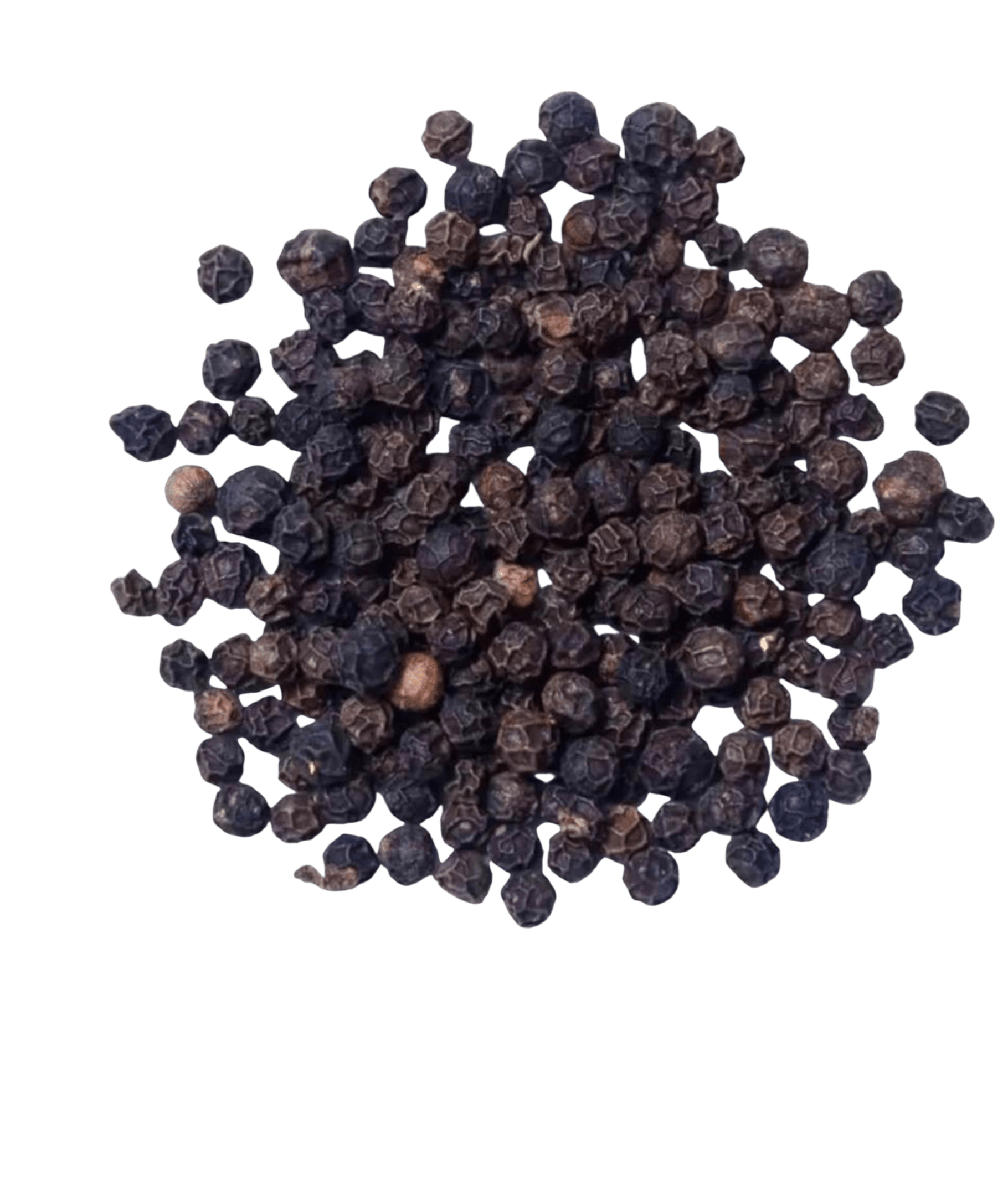 seasoning-1174451268_4575b44e-94ae-461d-9e40-d9767545727e فلفل أسود حبوب seasoning-بهارات فلفل أسود حبوب