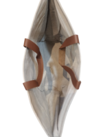 ⁦شنطة يدوية تراثية قماشية جلد – تصميم مطرز أنيق⁩ - الصورة ⁦2⁩