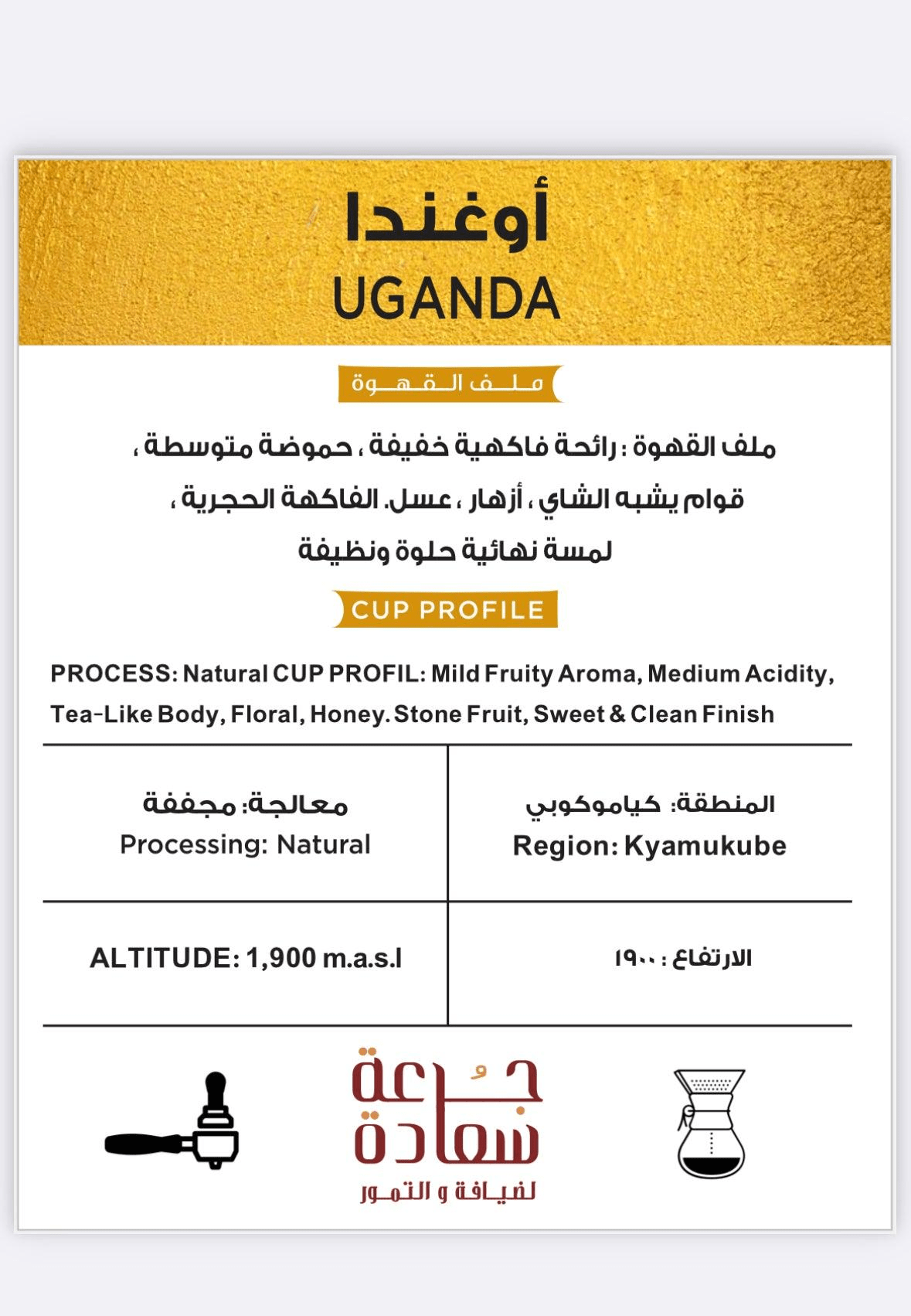 uganda-specialty-coffee-1174449893_513770af-21ae-4e31-b9b5-4d19288e1a60 Uganda قهوة مختصة من اوغندا Specialty Coffee قهوة مختصة من أوغندا